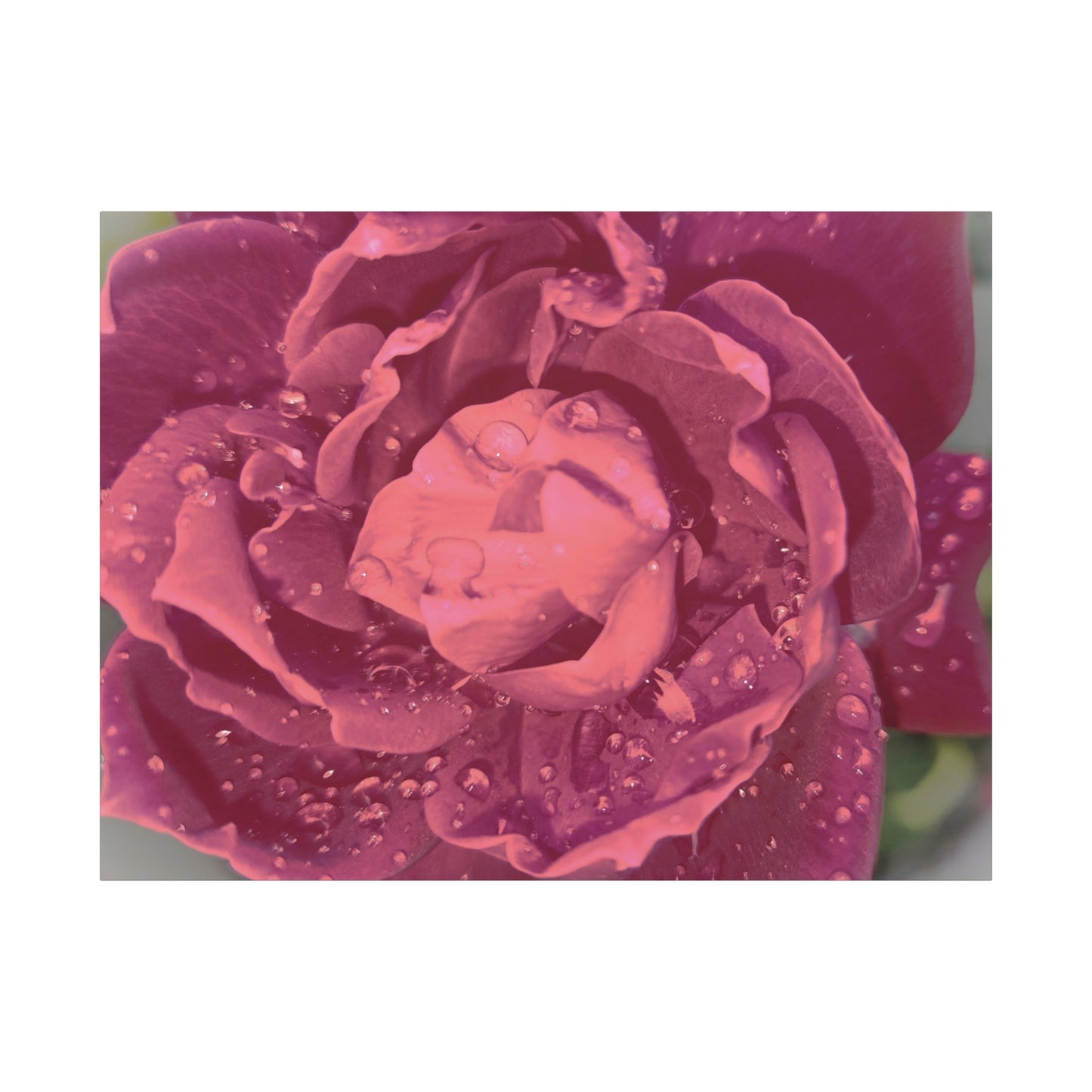 Nature-Inspired Flower Canvas Print Wall Art Decor