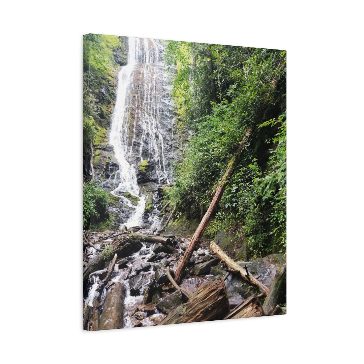 Nature-Inspired Waterfall Canvas Print Wall Art Home Decor Gift