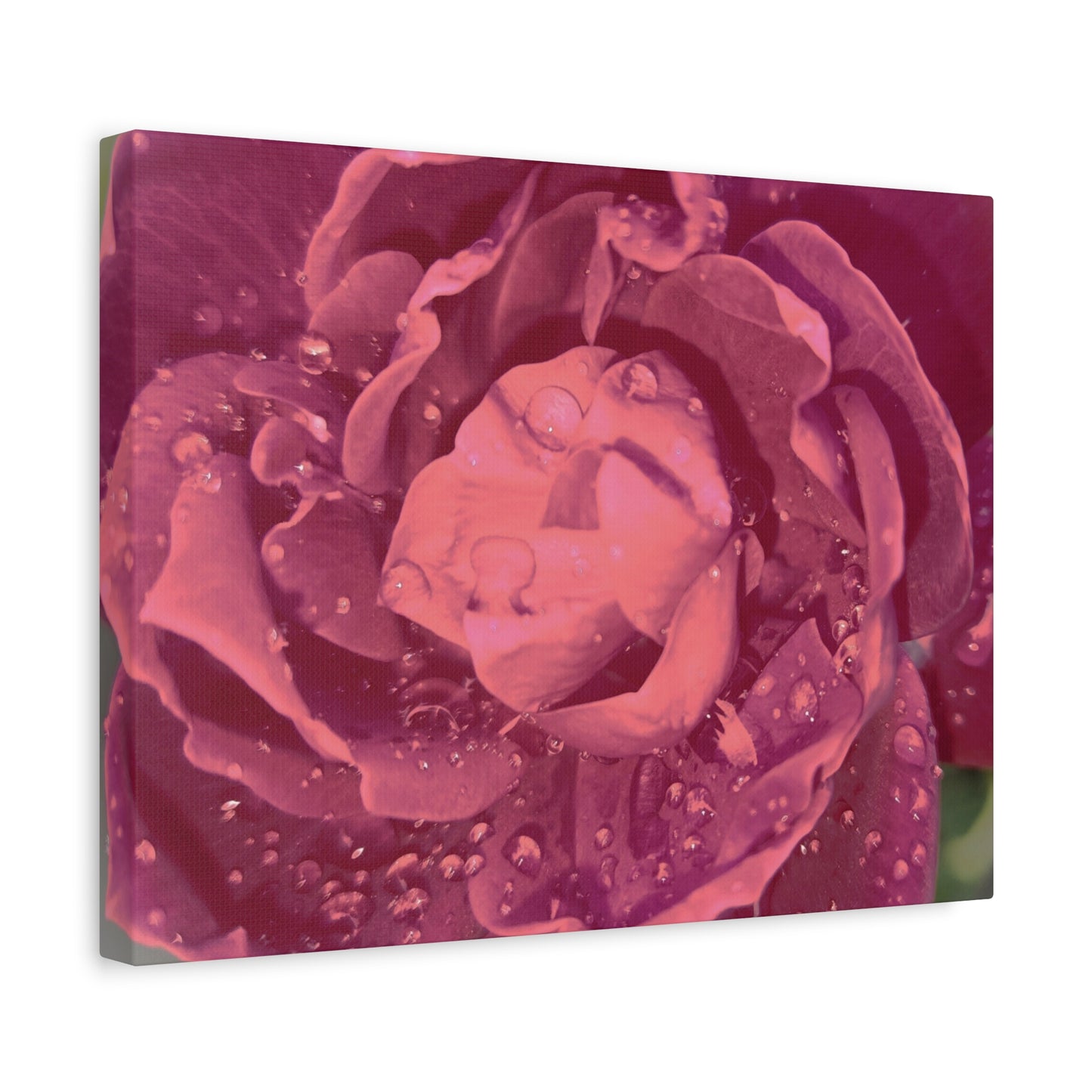 Nature-Inspired Flower Canvas Print Wall Art Decor