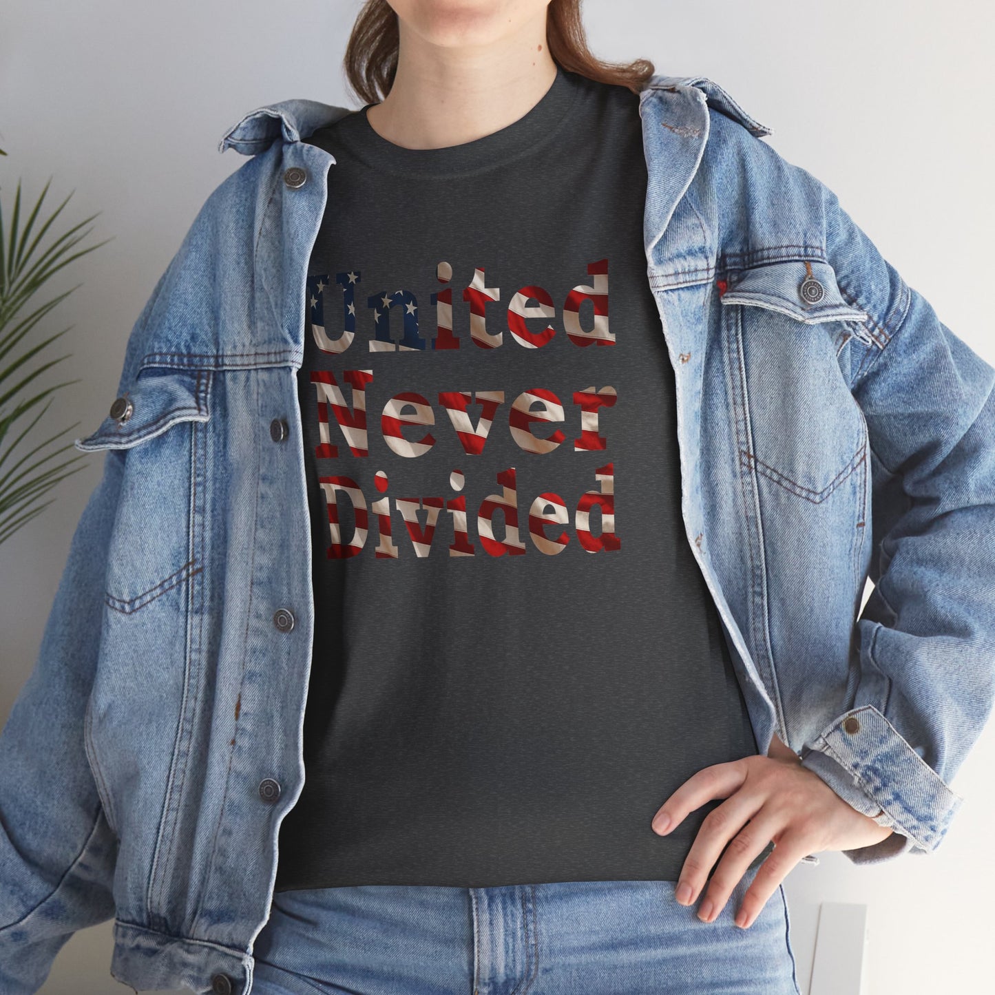 United Never Divided T-Shirt – Patriotic American Flag Shirt - Show Your American Pride Tee