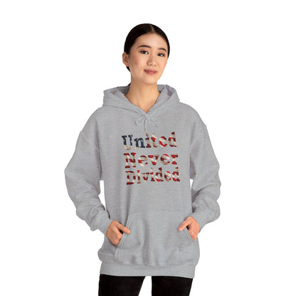 United Never Divided Hoodie – Patriotic American Flag Shirt - Show Your American Pride Sweatshirt
