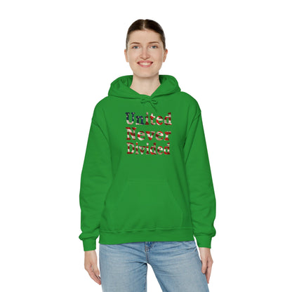 United Never Divided Hoodie – Patriotic American Flag Shirt - Show Your American Pride Sweatshirt