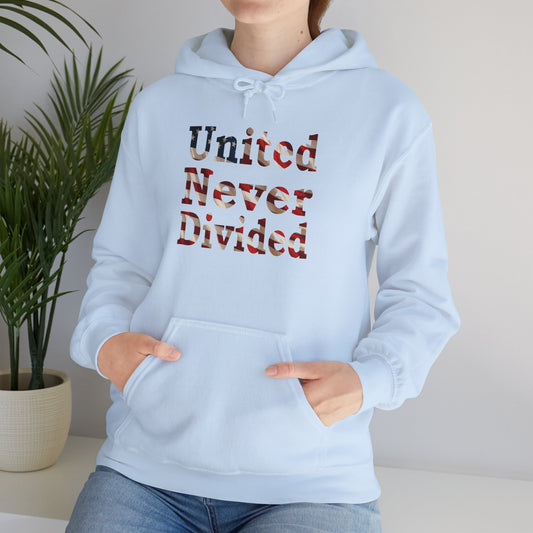 United Never Divided Hoodie – Patriotic American Flag Shirt - Show Your American Pride Sweatshirt
