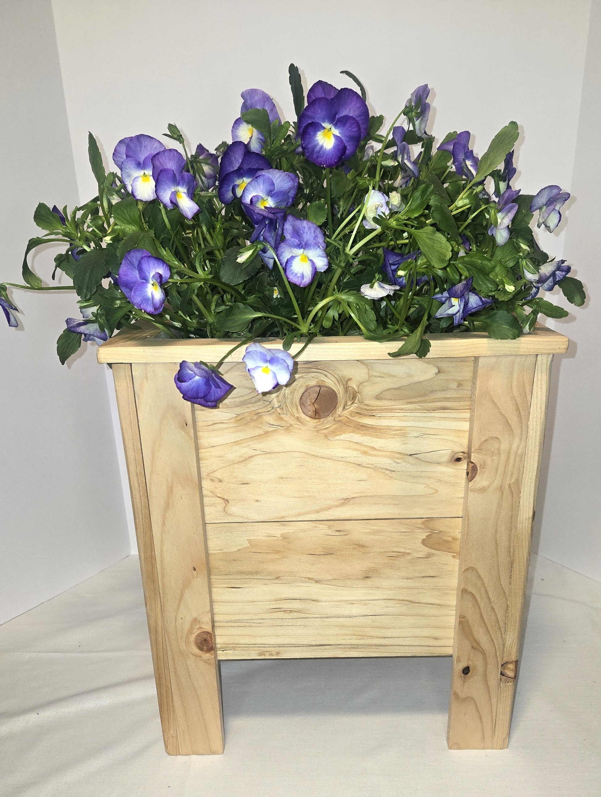 Blank Planter