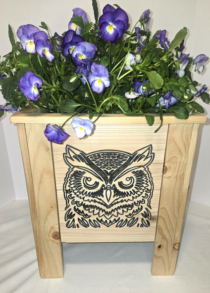 Owl